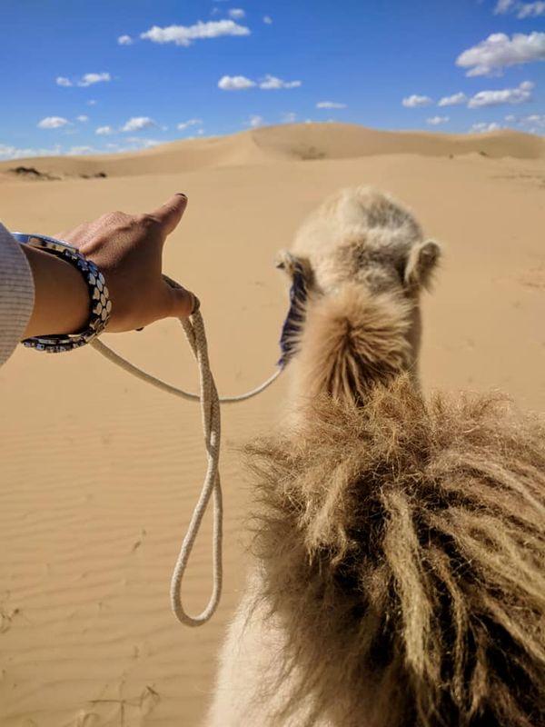 Golden Gobi Tour